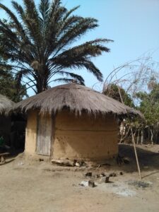 Une case traditionnelle africaine sous un palmier, dans un village typique d'Afrique.