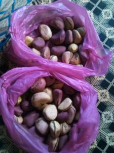 Des colas blanches emballées dans des sachets en plastique, disposées sur une natte, représentant une tradition africaine.
