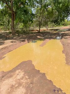 Une route en mauvais état, couverte de boue et d\'ornières, typique des zones rurales en Afrique, entourée de végétation.