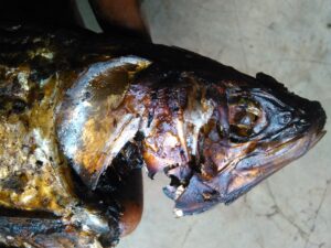 Une tête de poisson séchée, typique de la cuisine africaine, suspendue dans un marché local, avec des traits marqués par le processus de séchage.
