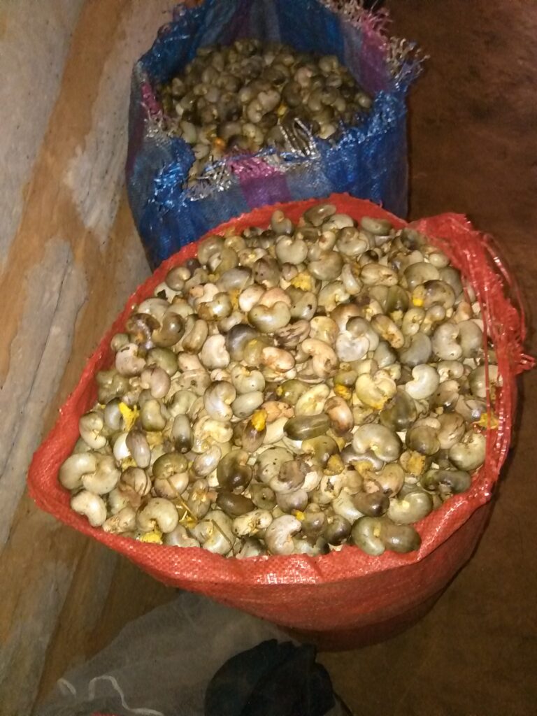 Image d’un grand sac débordant de noix d’acajou