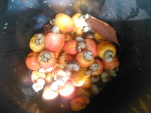 Photo d’un saut débordant de fruits d’acajou