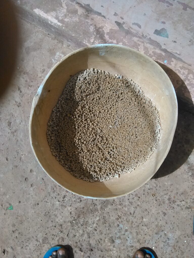 Des granulés de mil disposés dans une calebasse, exposés au soleil pour le séchage en vue de préparer de la bouillie