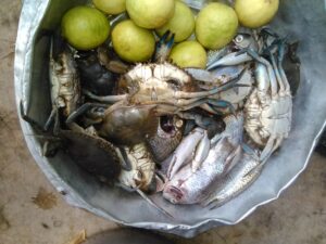 Un panier débordant de crabes vivants, avec des citrons jaunes à côté, dans un environnement africain.