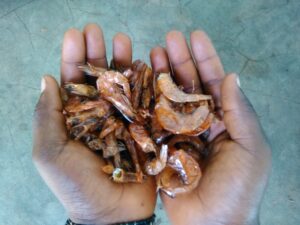 La main d'une petite fille tenant des crevettes séchées.