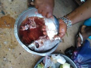 Poisson vidé et découpé en morceaux, prêt pour la cuisson.