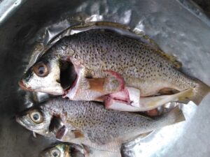 Poisson frais, prêt à être assaisonné pour une cuisson à la manière africaine.