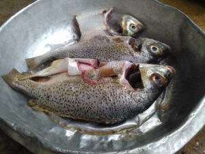 Poisson frais préparé et prêt à être assaisonné avant la cuisson à l'africaine.