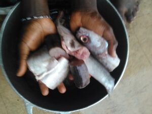 Poisson frais préparé, prêt à être assaisonné pour la cuisson à la manière africaine.