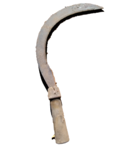 Couteau de récolte de riz, un outil agricole traditionnel utilisé pour couper les tiges de riz lors de la récolte.