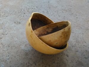 Deux calebasses africaines, l'une dans l'autre, représentant un savoir-faire traditionnel et une utilisation culturelle.