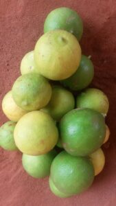 Un tas de citrons jaunes empilés sur une surface, montrant leur texture et leur couleur vibrante.