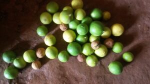 Une pile de citrons frais d'Afrique, prêts à être utilisés en cuisine ou pour des boissons.