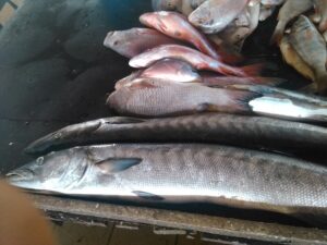 Un poisson frais, brillant et humide, posé sur une surface propre.