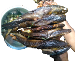 Plusieurs poissons séchés, étalés pour le séchage au soleil.