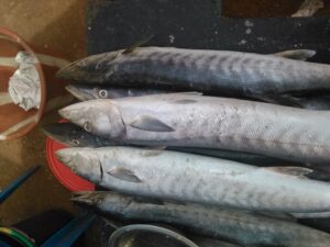 Trois poissons frais posés sur une table de marché, avec une balance ancienne à côté, prêts à être pesés et vendus.