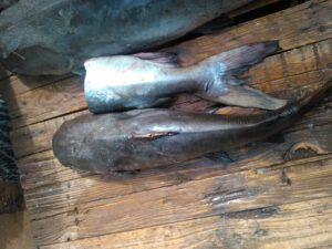 Deux gros poissons découpés en morceaux sur une table de marché, avec des restes de poisson et un environnement de marché vivant.