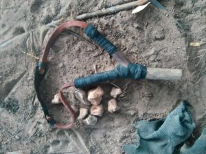 Lance-pierre posé au sol avec de petits cailloux, un outil traditionnel utilisé pour la chasse ou le jeu en Afrique.