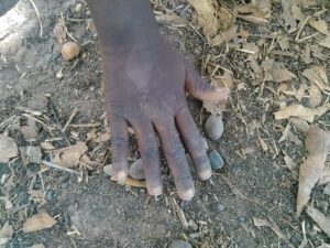 main d’un enfant africain manipulant des graines de palmier sur le sol.