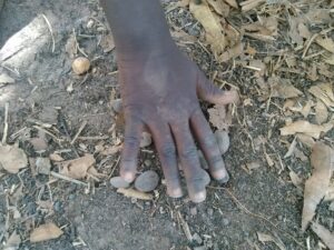 Les mains d’un enfant africain manipulant des graines de palmier, posées sur le sol.