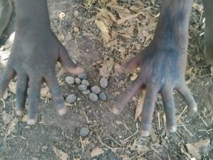 Les mains d’un enfant africain posées sur le sol, manipulant des graines de palmier.