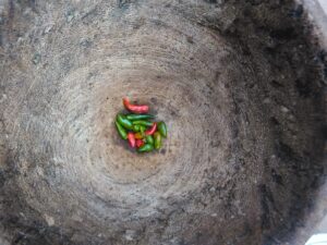 "Mortier en bois avec des petits piments rouges et un pilon, préparés pour être pilés."