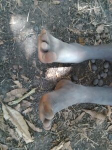Un enfant assis par terre sous un arbre, les pieds sales, dans un paysage calme d'Afrique. L'ombre de l'arbre lui apporte un peu de fraîcheur.