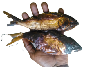 Deux poissons séchés tenus dans une main africaine, un ingrédient essentiel de la cuisine traditionnelle, illustrant la méthode de conservation ancienne.