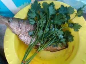 Des poissons séchés au soleil, utilisés pour la conservation alimentaire, typiques des méthodes traditionnelles africaines.
