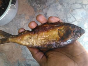 Un poisson séché tenu dans une main, une pratique courante de conservation alimentaire en Afrique.