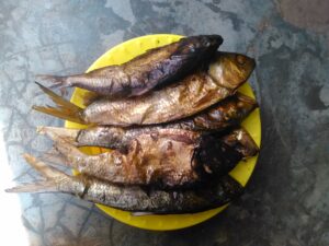 Des morceaux de poissons séchés disposés dans une assiette, typiques des plats traditionnels africains, mettant en valeur l'ingrédient essentiel de la cuisine locale.