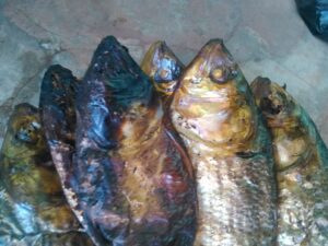 Poissons séchés exposés au soleil, une méthode traditionnelle de préservation alimentaire en Afrique.
