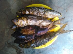 Poissons séchés étendus au soleil, une méthode traditionnelle de conservation alimentaire courante en Afrique.