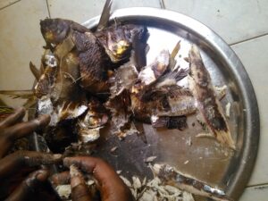 Poissons séchés présentés sur un plateau, illustrant le processus de séparation de la chair et des arêtes.
