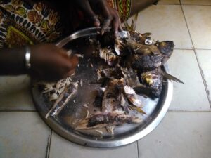 Des poissons séchés disposés dans un plateau, mettant en avant le processus de séparation de la chair et des os.