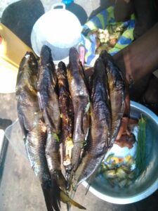 Poissons séchés exposés au soleil, une méthode traditionnelle de conservation utilisée dans de nombreuses régions d'Afrique.