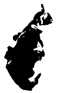 Illustration en noir et blanc d’un chat assis, avec des détails simples et élégants