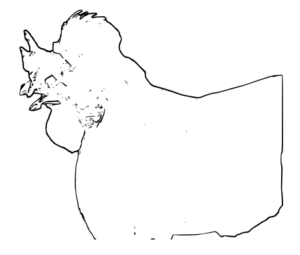 Illustration artistique d’un coq, réalisée à la main ou en style numérique, mettant en valeur ses plumes et sa posture.