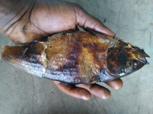 Poisson séché dans la main d'une personne, représentant une méthode traditionnelle de conservation alimentaire en Afrique.