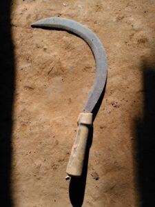 Faucille artisanale africaine pour la récolte du riz, avec manche en bois et lame en métal.