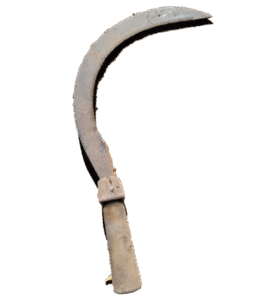 Faucille artisanale africaine pour la récolte du riz, avec manche en bois et lame en métal.