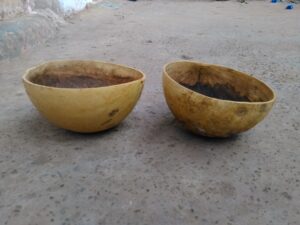 Deux calebasses traditionnelles posées l'une à côté de l'autre sur le sol en Afrique.