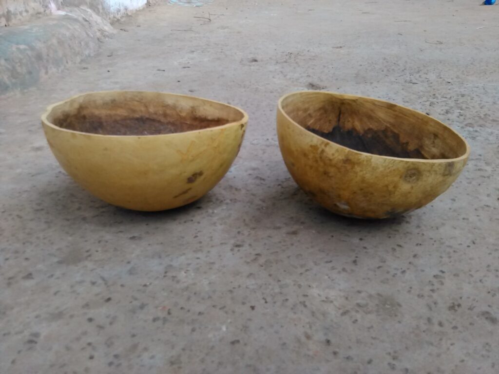 Deux calebasses traditionnelles posées côte à côte sur le sol en Afrique.