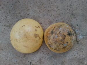 Deux calebasses traditionnelles renversées sur le sol en Afrique.